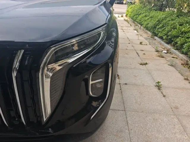 Hongqi HS7 PHEV — Фото автомобиля 23