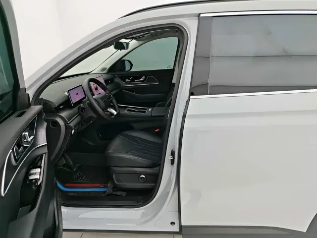 Chery Fulwin T9 — Фото автомобиля 15