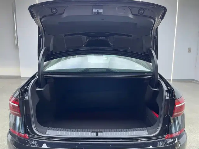 Volkswagen Passat — Фото автомобиля 7
