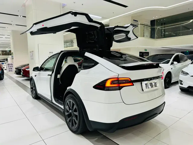 Tesla Model X — Фото автомобиля 4
