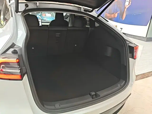 Tesla Model Y — Фото автомобиля 18