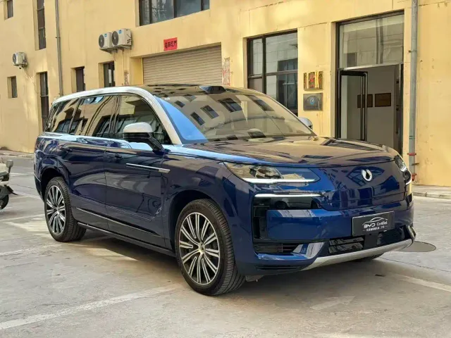 Denza N9 — Фото автомобиля 18