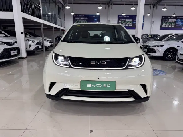BYD Dolphin — Фото автомобиля 2