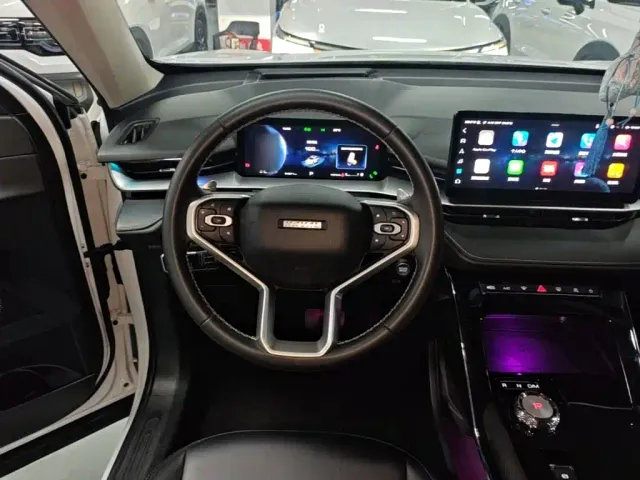 Haval H6 — Фото автомобиля 10
