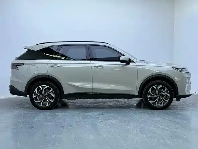 Haval Xiaolong MAX — Фото автомобиля 7