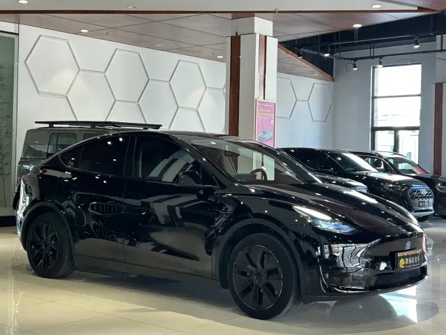 Tesla Model Y — Фото автомобиля 4