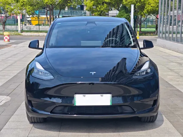 Tesla Model Y — Фото автомобиля 2