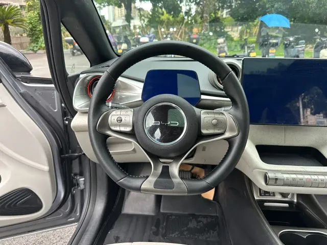 BYD Dolphin — Фото автомобиля 14