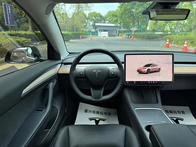 Tesla Model 3 — Фото автомобиля 10