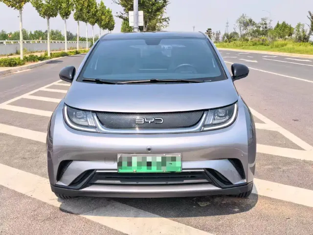 BYD Dolphin — Фото автомобиля 2