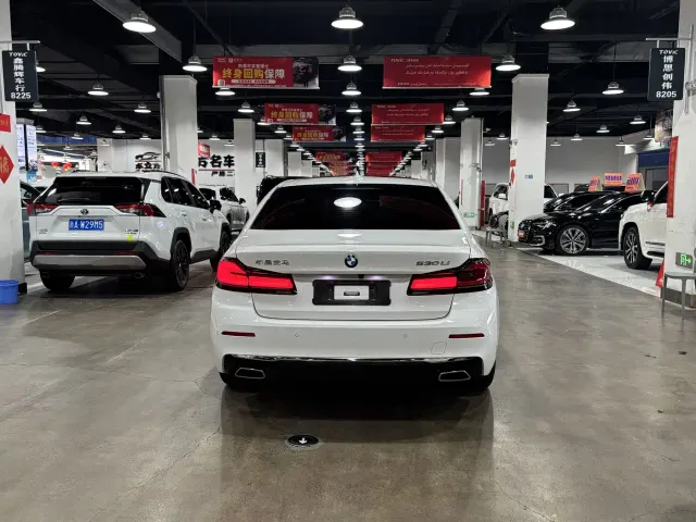 BMW 5 Series — Фото автомобиля 8