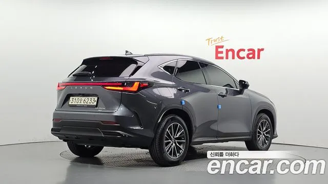 Lexus NX NX450h+ 2nd Gen — Фото автомобиля 2