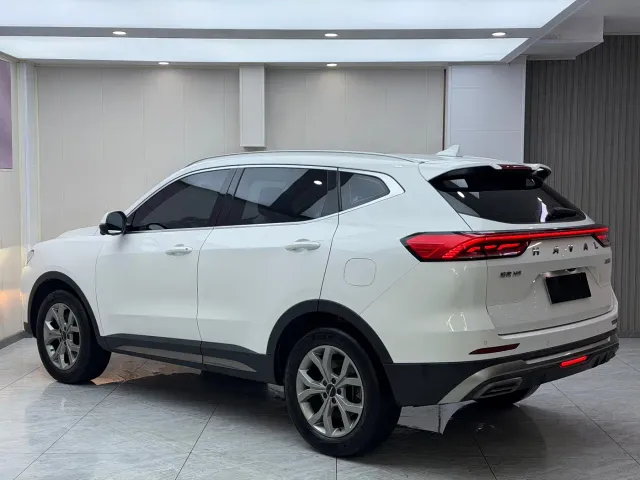 Haval H6 — Фото автомобиля 6
