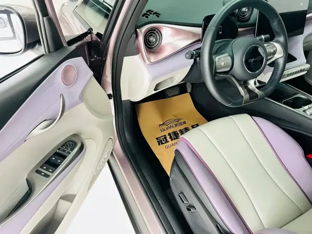 BYD Dolphin — Фото автомобиля 5