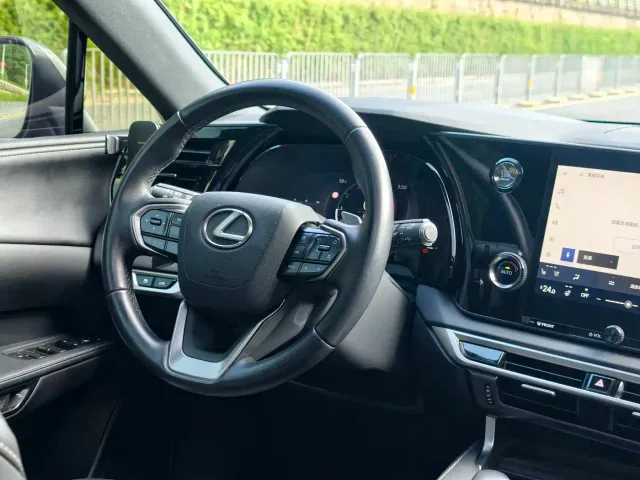 Lexus RX — Фото автомобиля 9