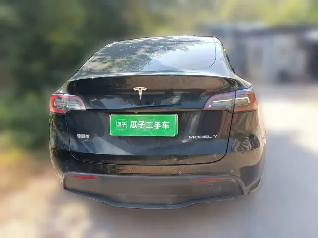 Tesla Model Y — Фото автомобиля 3