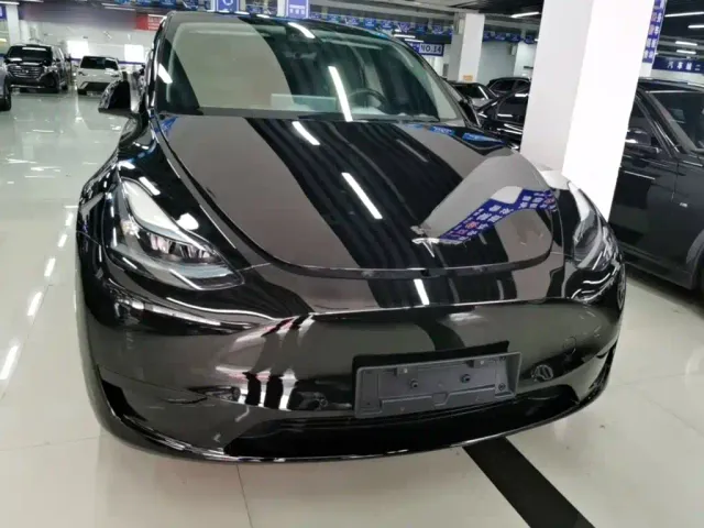 Tesla Model Y — Фото автомобиля 2