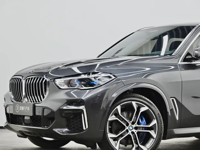 BMW BMW X5 2022 Facelift xDrive 40Li Premium M Sport Package — Фото автомобиля 25