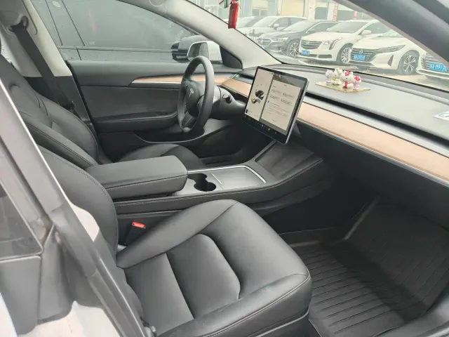 Tesla Model 3 2021 Standard Range Rear-Wheel Drive Upgrade — Фото автомобиля 7