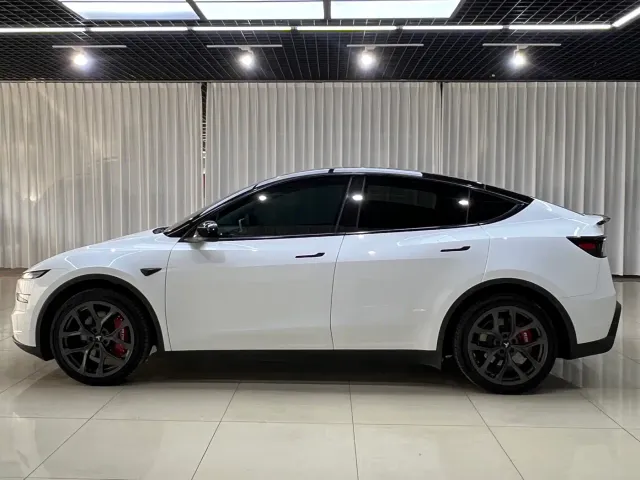Tesla Model Y — Фото автомобиля 3