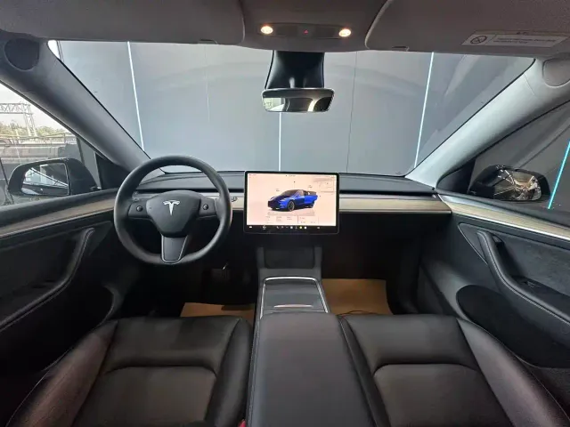 Tesla Model Y — Фото автомобиля 9