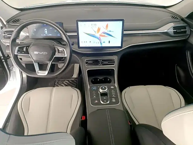 BYD Destroyer 05 — Фото автомобиля 9