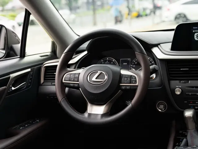 Lexus RX — Фото автомобиля 14