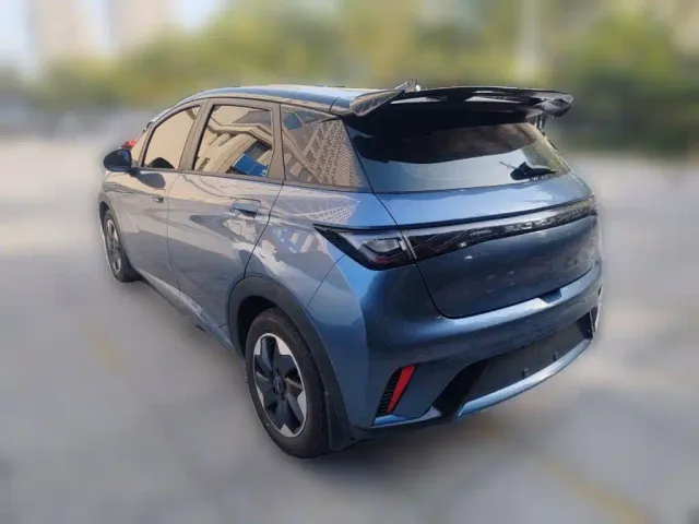 BYD Dolphin — Фото автомобиля 4