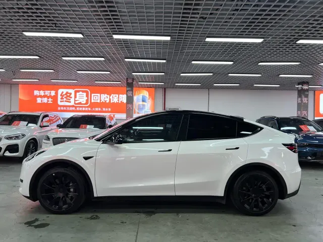 Tesla Model Y — Фото автомобиля 3