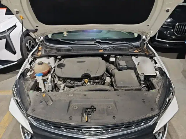Geely Binrui — Фото автомобиля 19