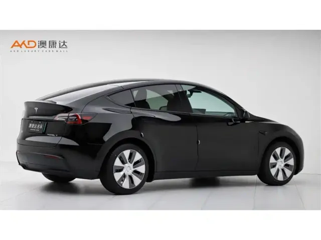 Tesla Model Y — Фото автомобиля 3