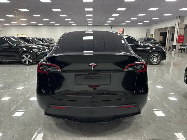Tesla Model Y — Фото автомобиля 8