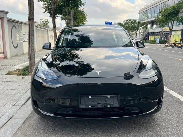 Tesla Model Y — Фото автомобиля 2