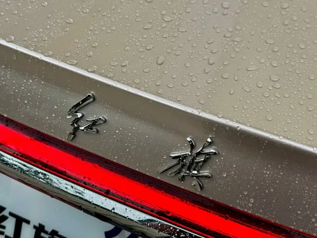 Hongqi H9 — Фото автомобиля 27