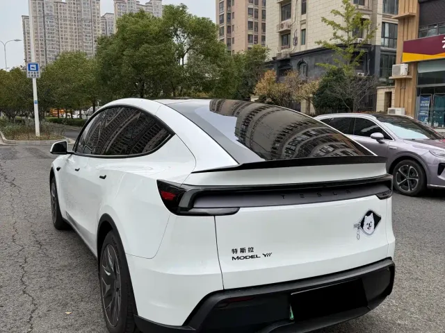 Tesla Model Y L — Фото автомобиля 9