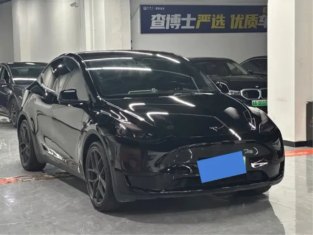 Tesla Model Y — Фото автомобиля 2