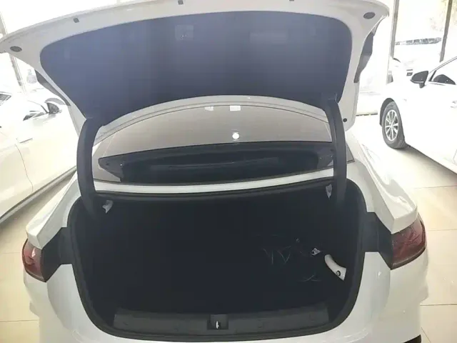 BYD Qin L — Фото автомобиля 18