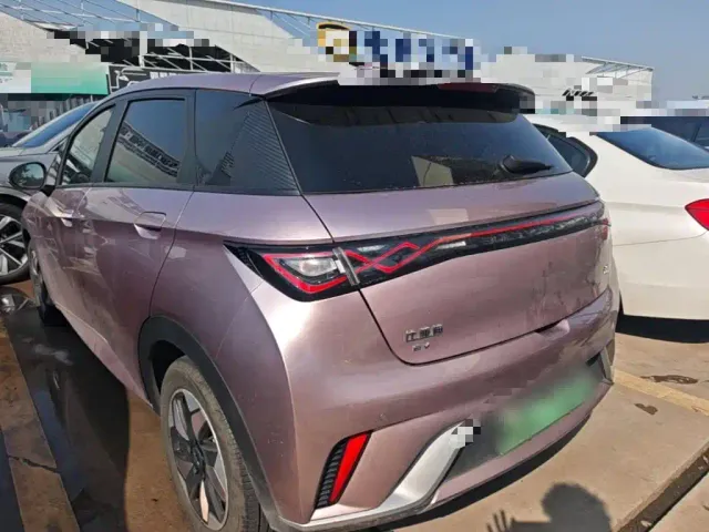 BYD Dolphin — Фото автомобиля 4