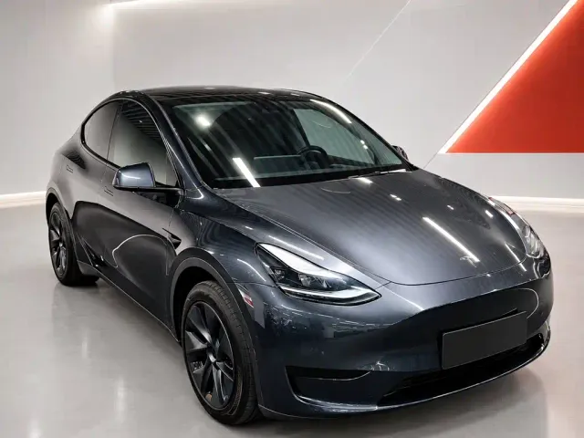 Tesla Model Y — Фото автомобиля 3