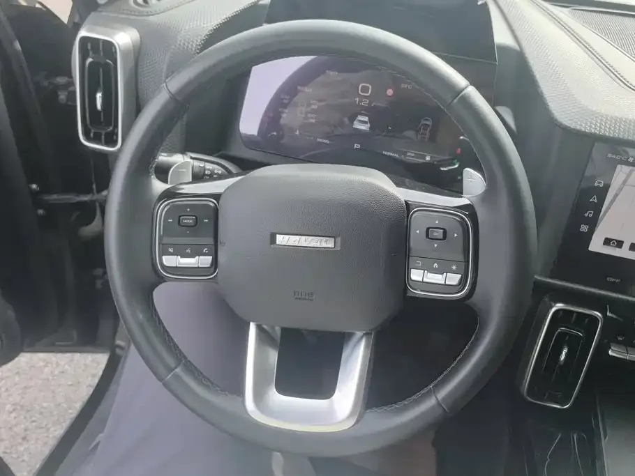 Haval Haval Big Dog 2021 1.5T DCT 2WD Border Collie Edition — Фото автомобиля 15