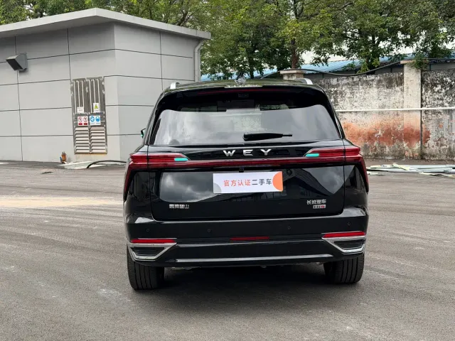 Wey Lanshan — Фото автомобиля 11