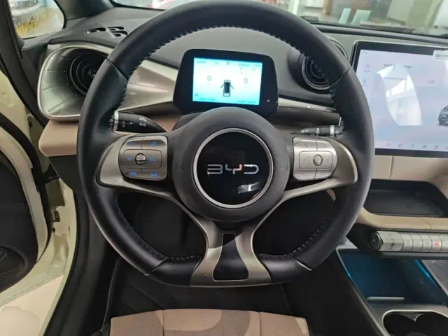 BYD Dolphin — Фото автомобиля 6