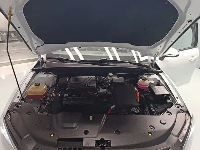 BYD Qin PLUS — Фото автомобиля 19