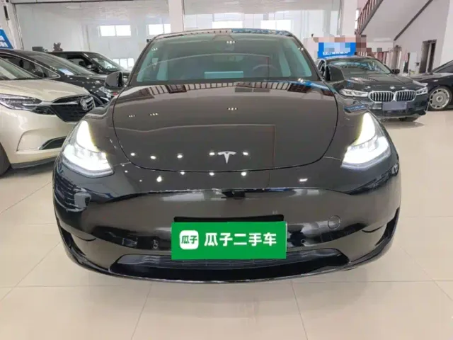 Tesla Model Y — Фото автомобиля 2