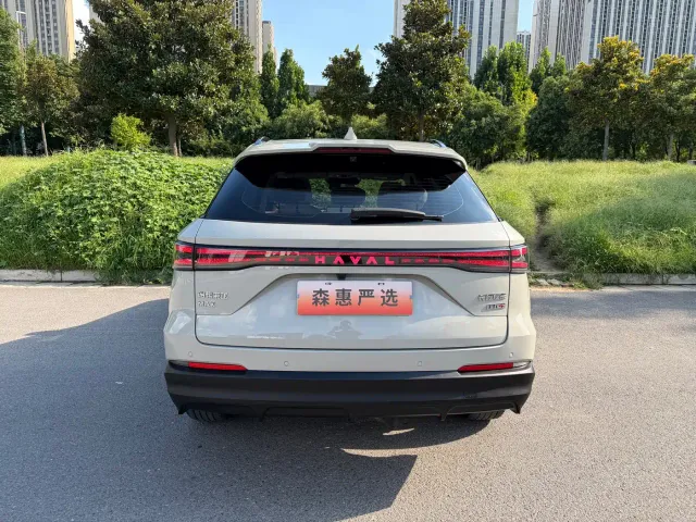 Haval Xiaolong MAX — Фото автомобиля 16