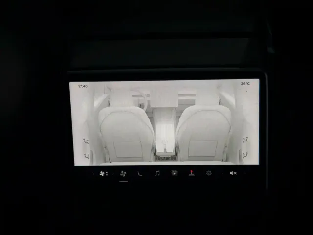 Tesla Model 3 — Фото автомобиля 9