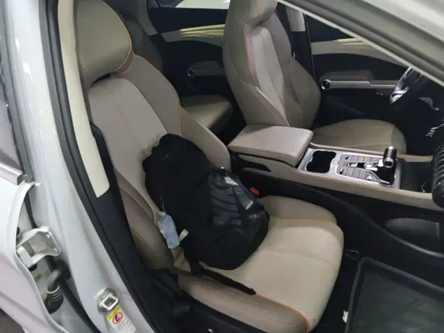BYD Yuan PLUS 2024 Glory Edition 510KM Excellence — Фото автомобиля 24