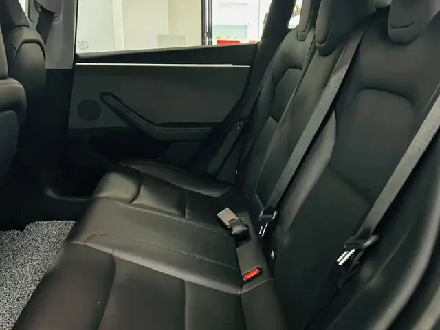 Tesla Model 3 — Фото автомобиля 9