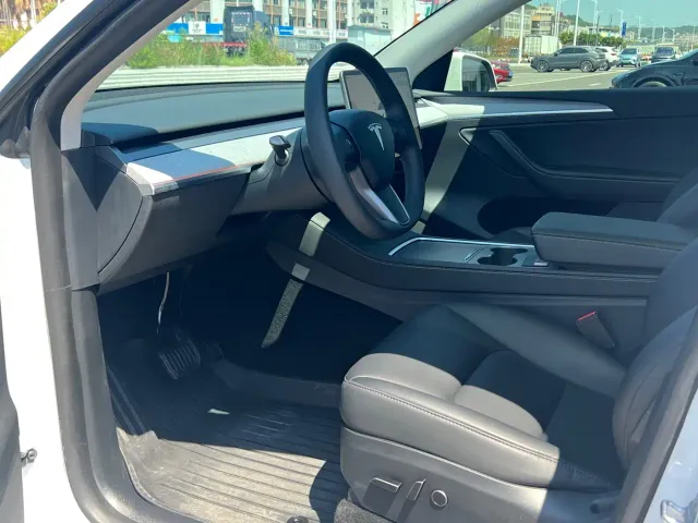 Tesla Model Y — Фото автомобиля 10