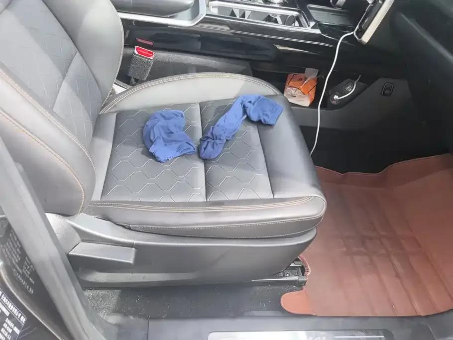 Haval Haval Big Dog 2021 1.5T DCT 2WD Border Collie Edition — Фото автомобиля 8